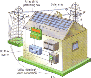 bp_diagram